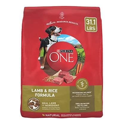 Purina ONE Dry Dog Food Lamb and Rice Formula - 31.1 lb. Bag-UPStoxs