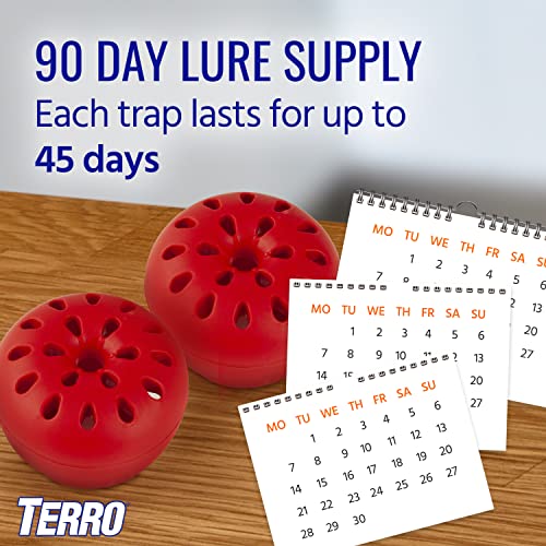 TERRO T2503-3 Ready-to-Use Indoor Fruit Fly Trap with Built in Window - 6 Traps + 270 day Lure Supply-UPStoxs